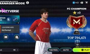 Panduan Mode Manajer (Manager Mode)